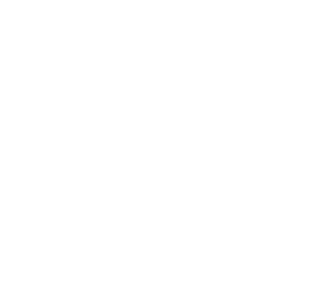 Fortune 500 graphic
